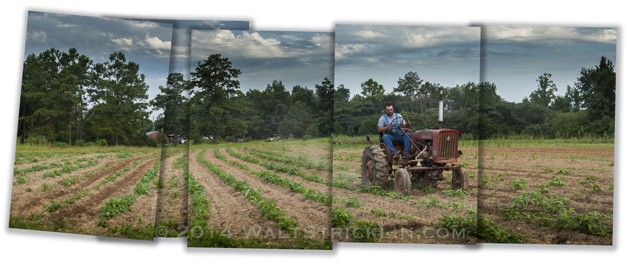 Tilling the fields at the Hamm Farm - Cullman, Alabama