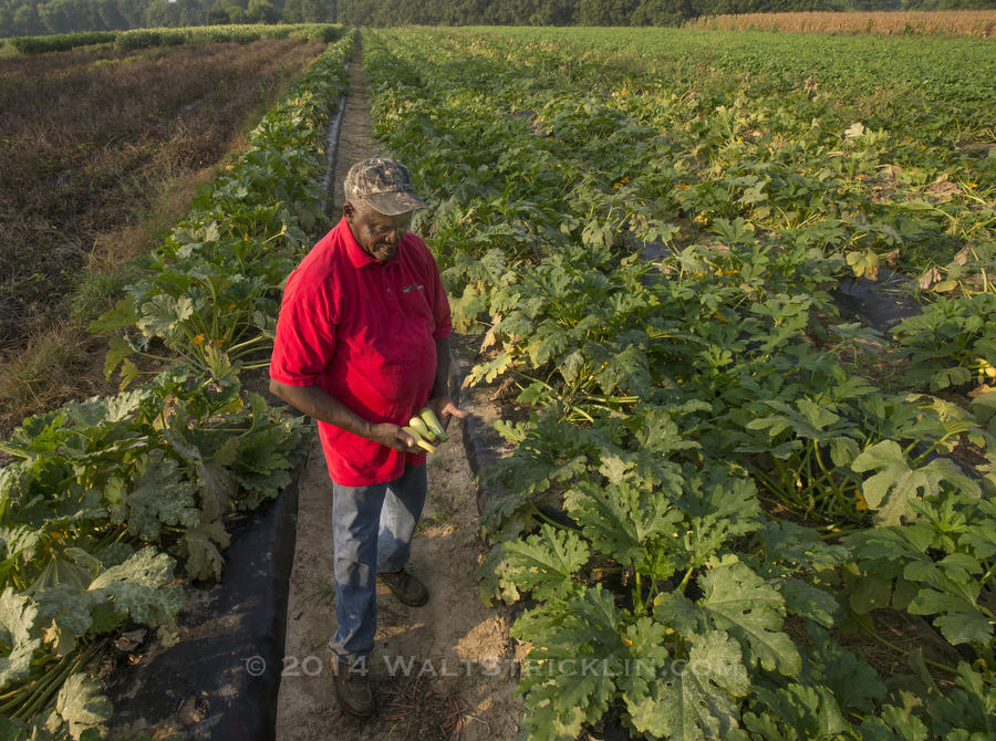 Al Hooks was one of the farmers who won a law suit against the  U.S. Department of Agriculture for loan discrimination for black farmers. He and his son now run a successful farm in Shorter, Alabama.