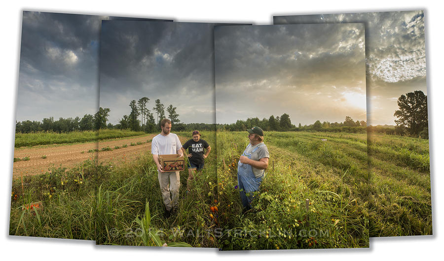 Dwight Hamm talks to members of the Urban Food Project as they pick vegetables to be distributed in Birmingham, Alabama