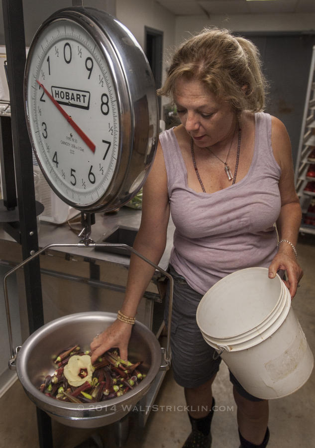 Dede Garfferick weighs out burgundy okra for the Urban Food Project.