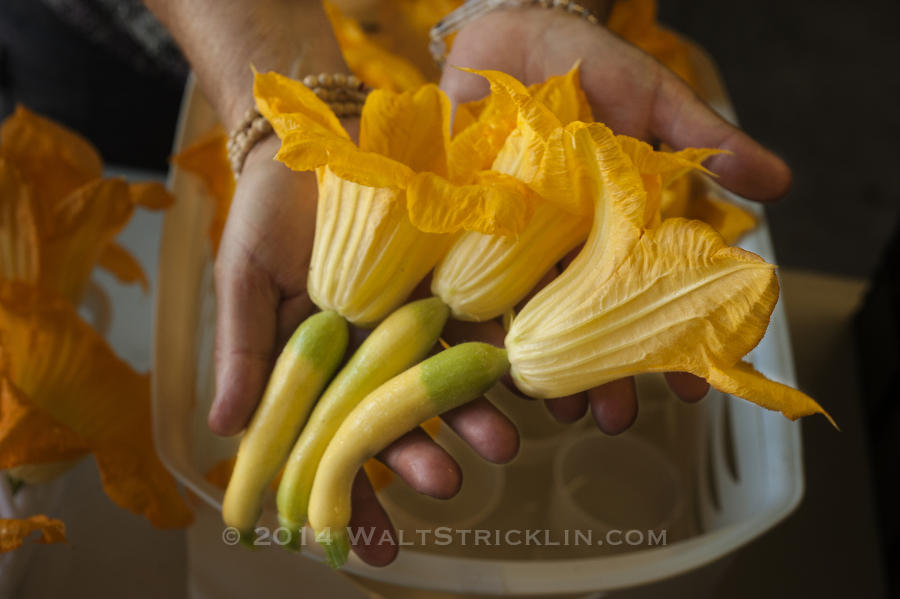 Dede Garferick has squash blossoms that are highly sought after.